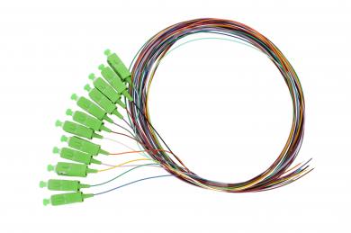 WAVEPACE® Pigtailsatz, 12 Fasern 